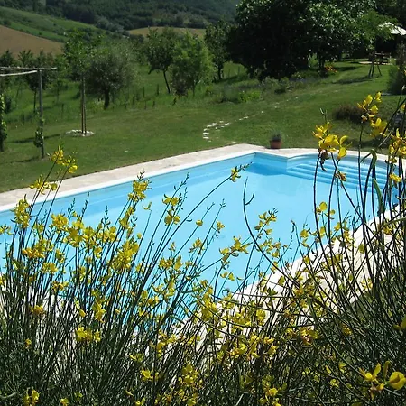 Verano * Matelica
