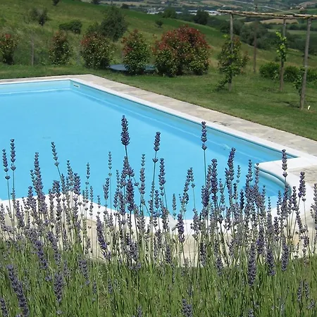 Verano Matelica